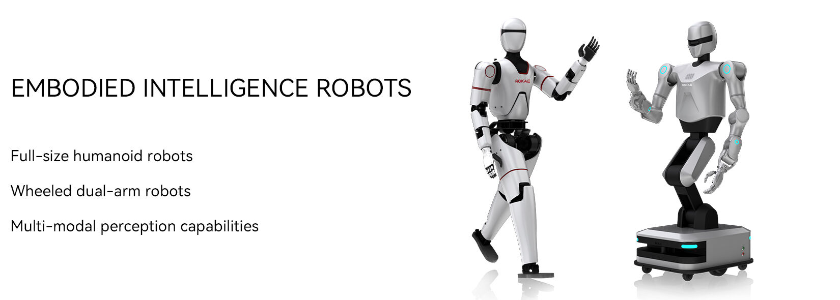 2 EN-二级页面特性图-整机.jpg